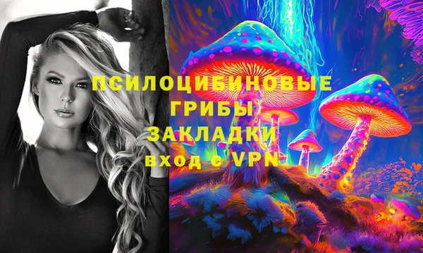 ECSTASY Покровск